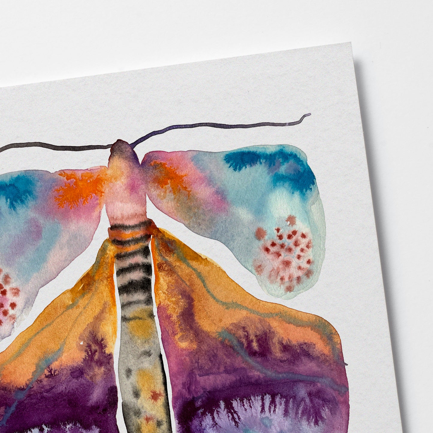 Original DANCING MOTH (24x30 cm)