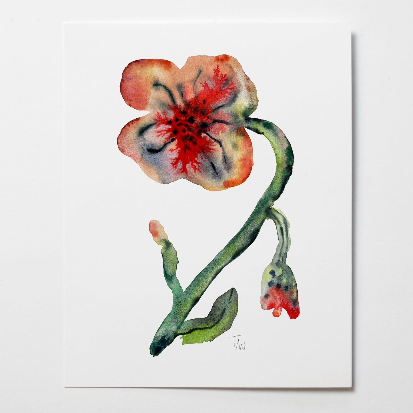 Original SCARLET FLOWER (24x30 cm)